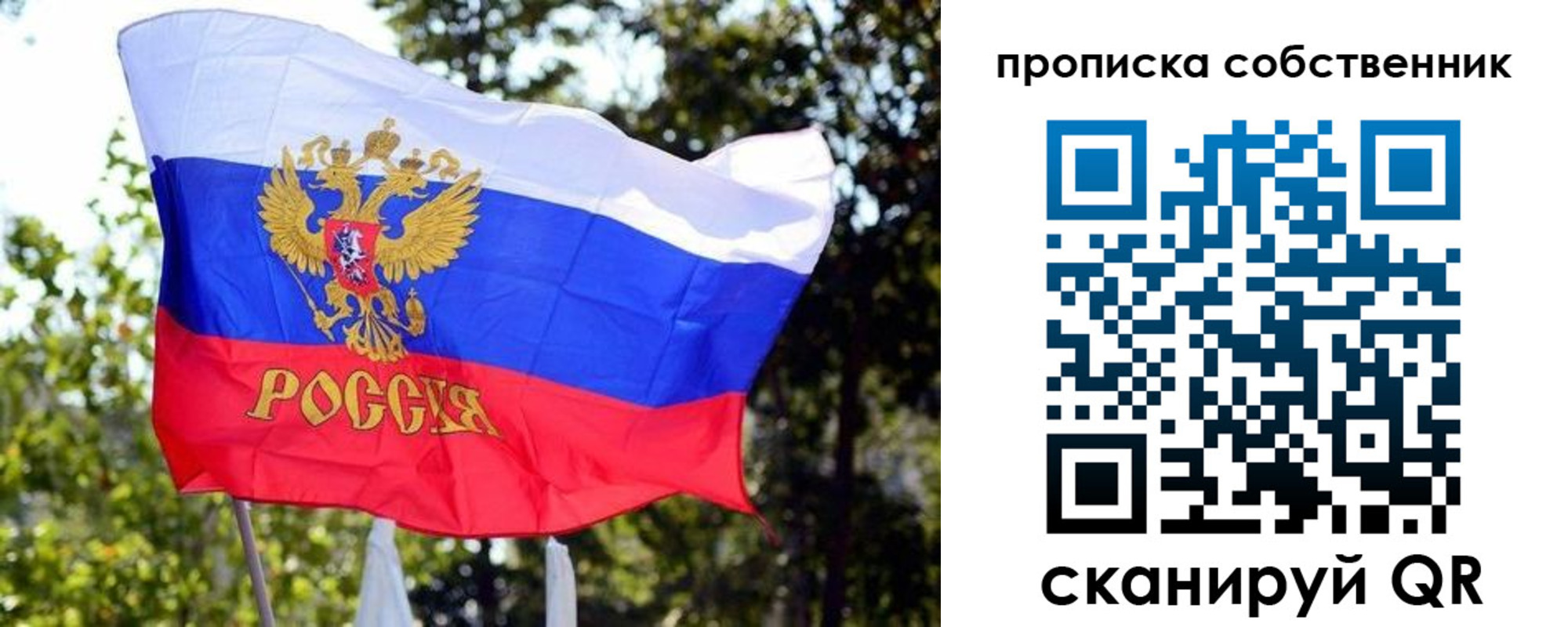 миграционный учет в Сольцах
