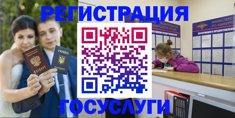 прописка поиск в Сольцах
